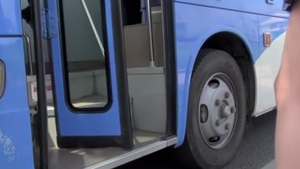 Japanese swallow JAV