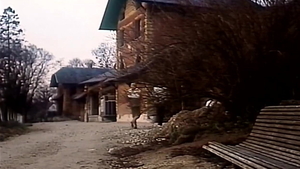 Cathy Stewart , Dominique Saint Claire starring Julia Perrin