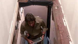 Annie Sprinkle & Joanna Storm escorted by Sharon Kane